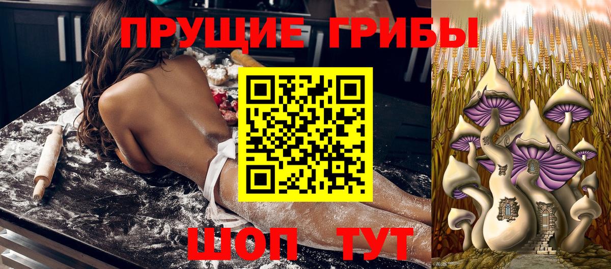 Новокузнецк  Галлюциногенные грибы прущие грибы  Вход с VPN 