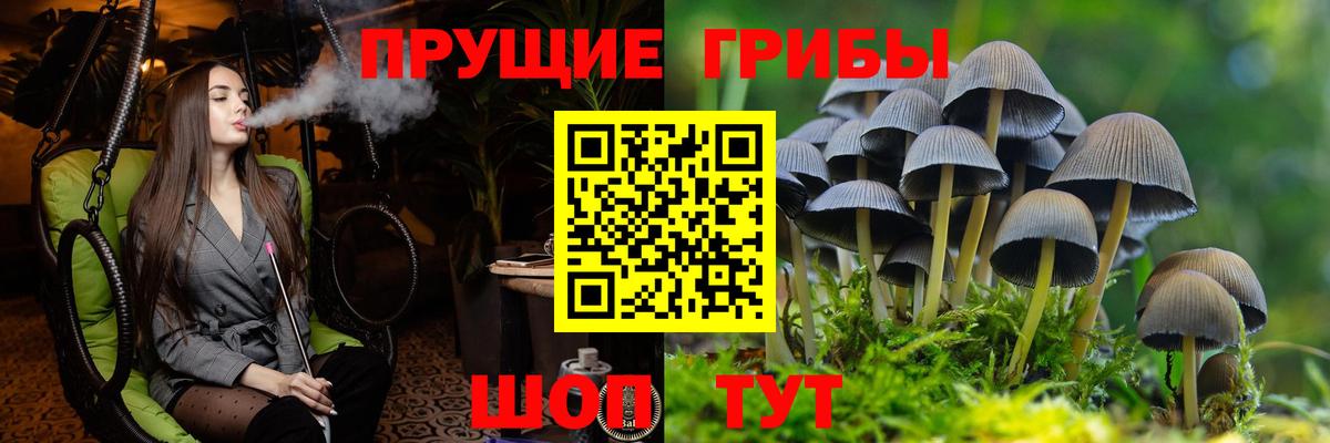Псилоцибиновые грибы Magic Shrooms Новокузнецк